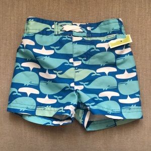 Circo Whale Print Swim Trunks NWT Size 3-6 Months